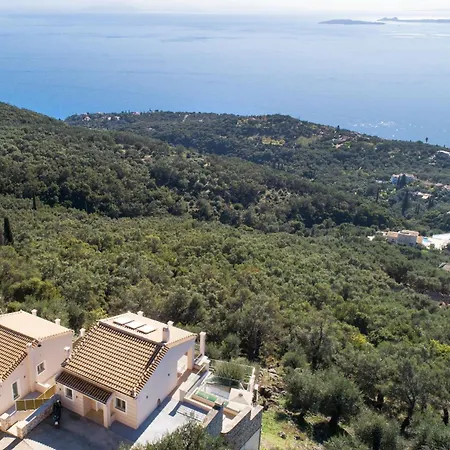 Oliveta