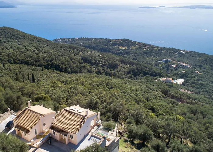 Oliveta